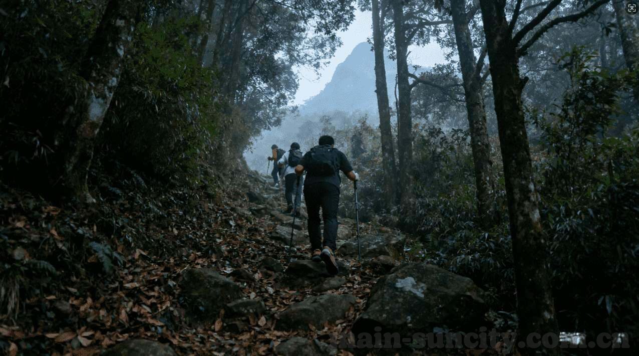 乐鱼体育代理佣金高0-乐鱼体育代理，享受高额代理佣金与全球顶级赛事